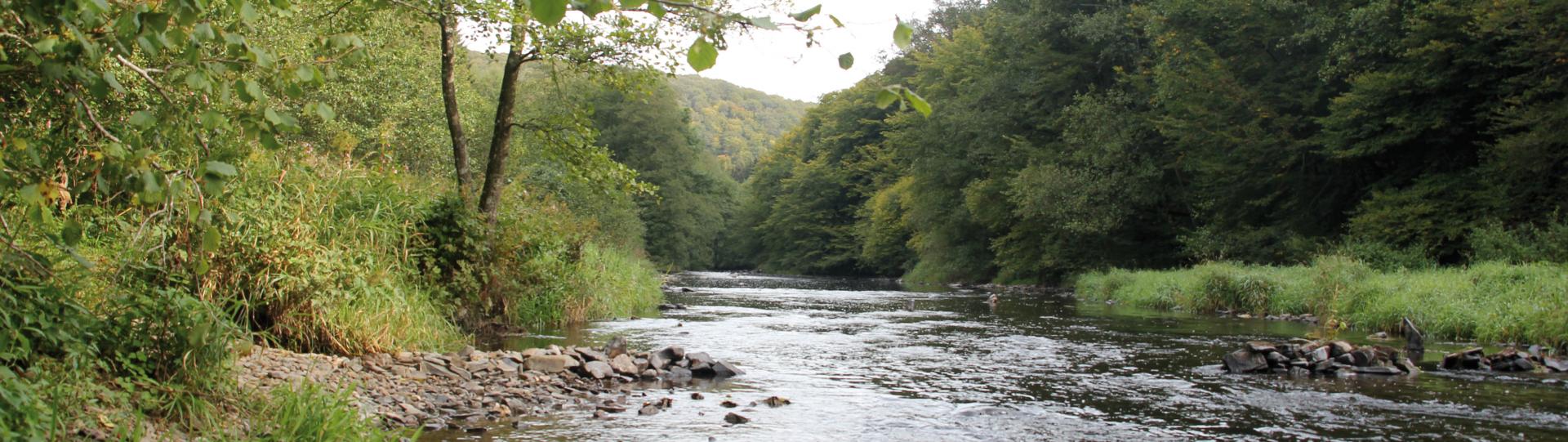 1 Environnement naturel et Biodiversité : Inventaires biologiques / Monitorings scientifiques / Plans de gestion pour réserves naturelles et zones Natura 2000 / Planification et suivi de gestion d’écosystèmes naturels / Evaluations et Plans d’action ‘Biodiversité’ 1 Environnement naturel et Biodiversité : Inventaires biologiques / Monitorings scientifiques / Plans de gestion pour réserves naturelles et zones Natura 2000 / Planification et suivi de gestion d’écosystèmes naturels / Evaluations et Plans d’action ‘Biodiversité’